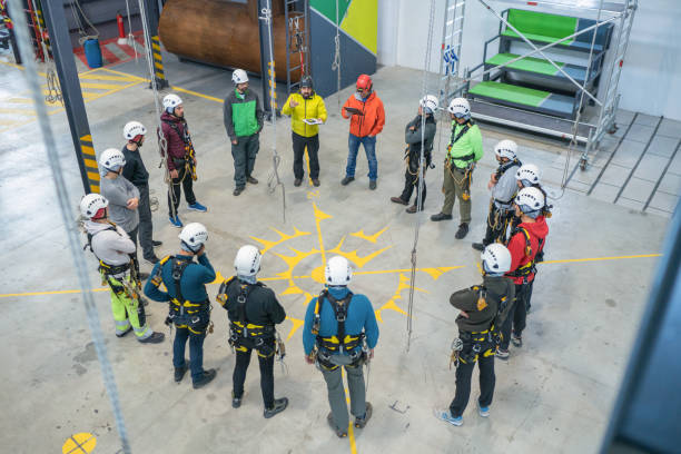 Term Safety Performance