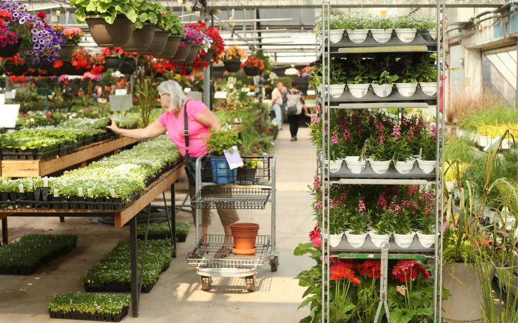 Plants Data