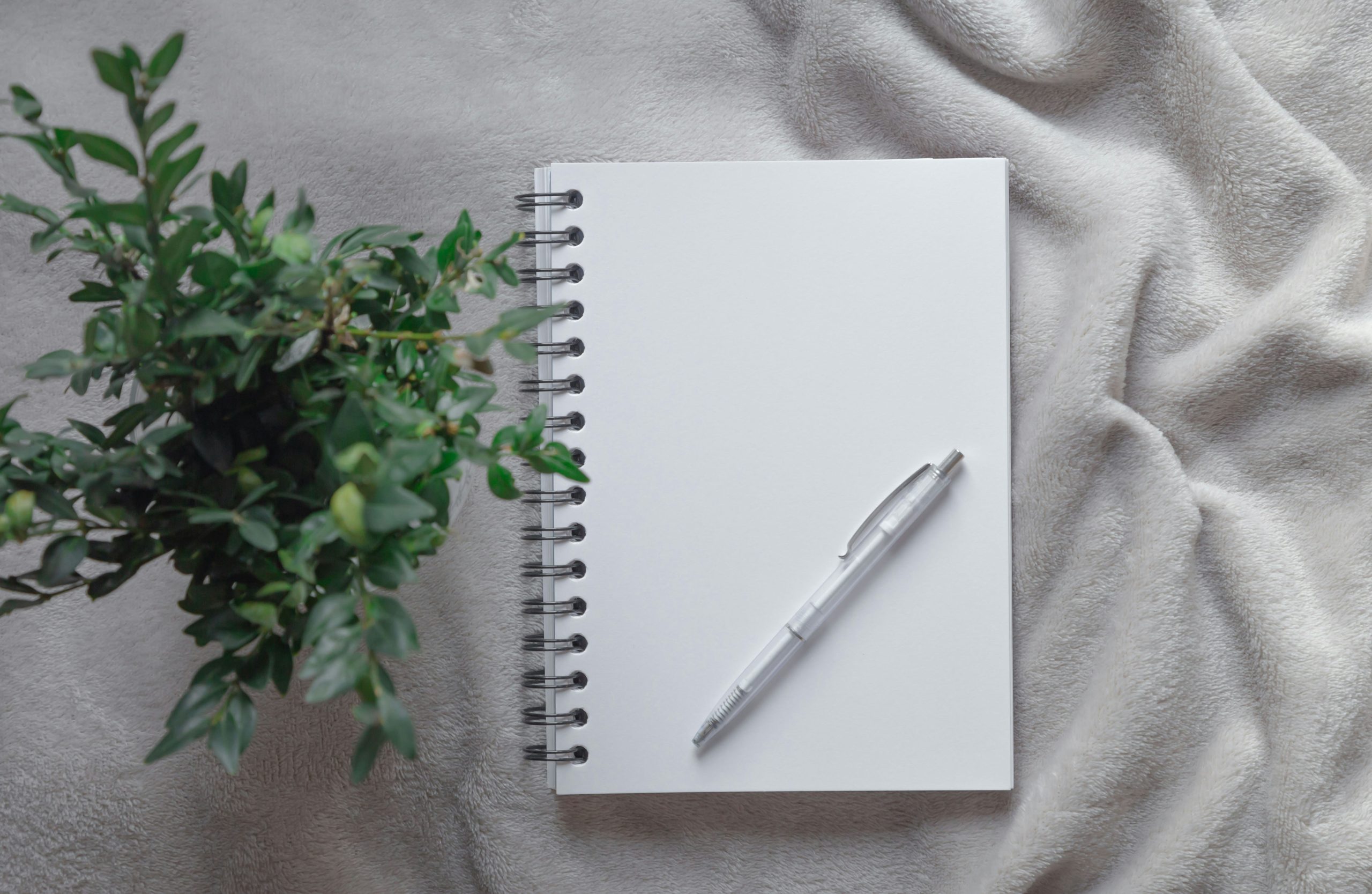 Personalised Diaries